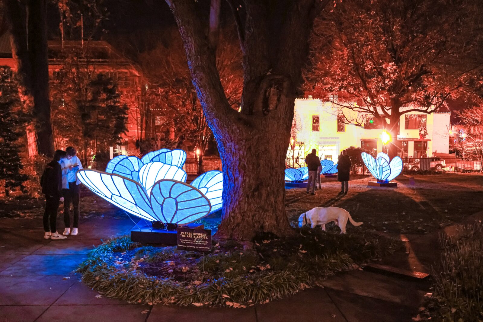 Don't Miss GLOW, Ending January 22 DC Explore