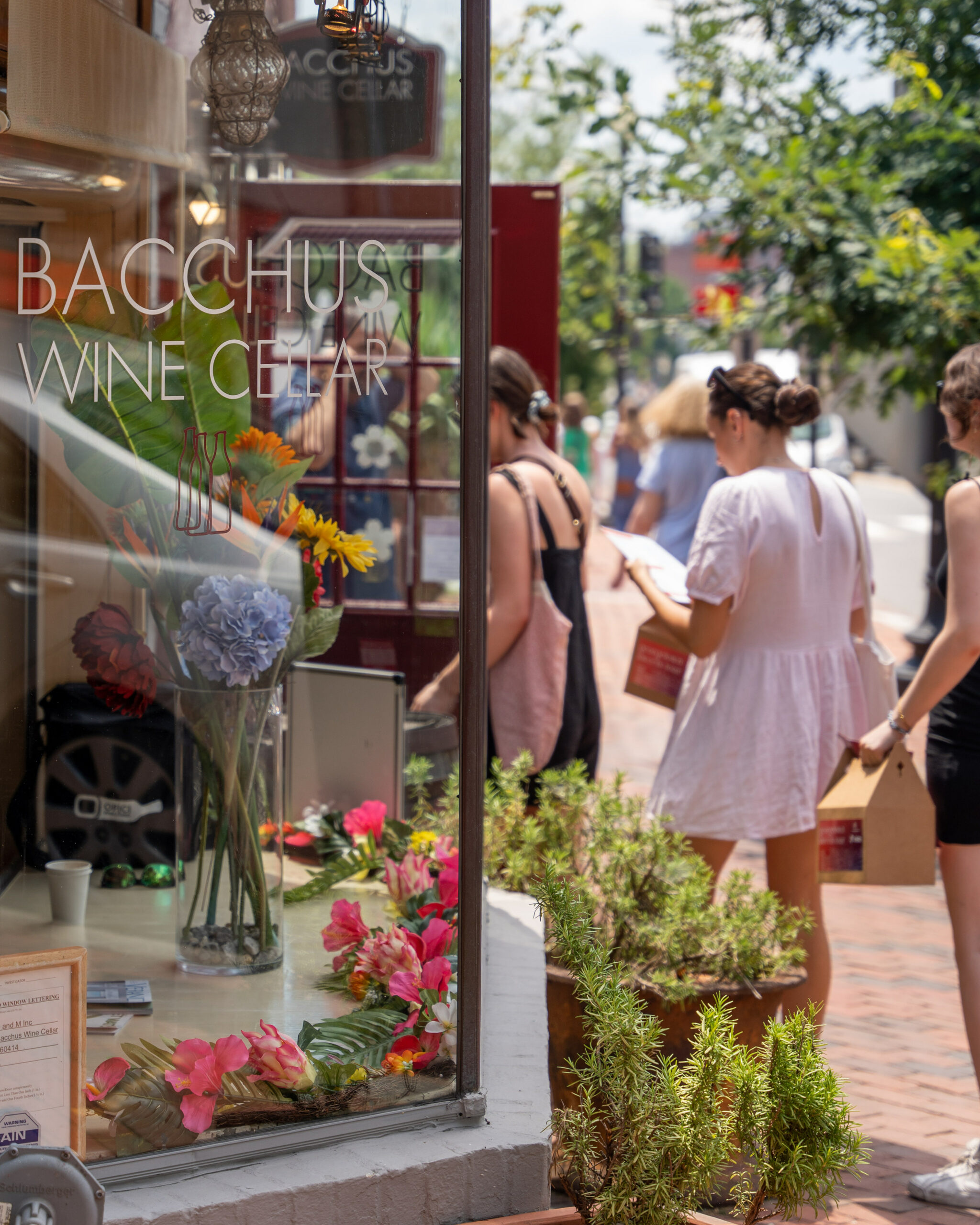 Flower Tour & 93rd Annual Garden Tour DC